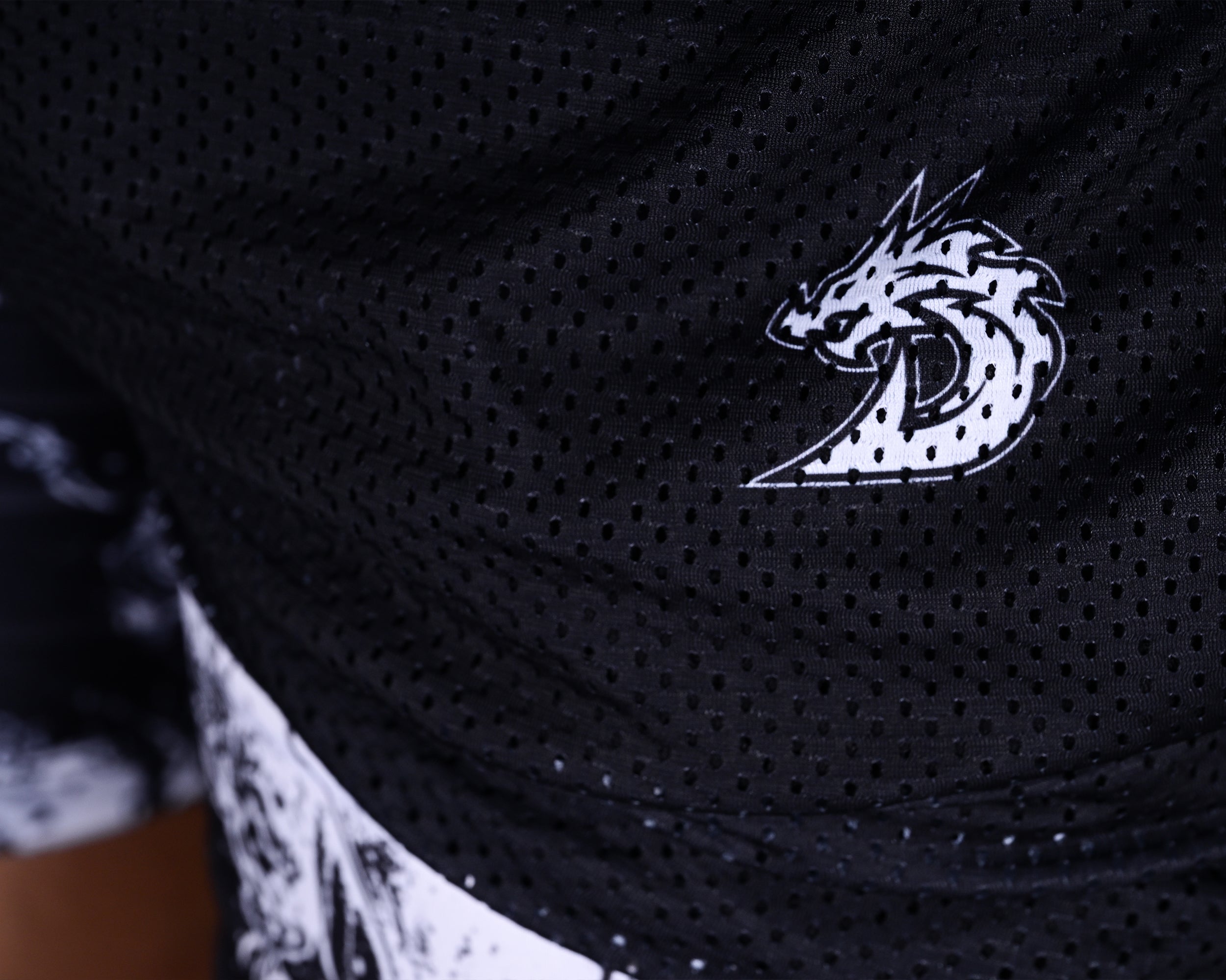 Anime Mesh Shorts (Black)